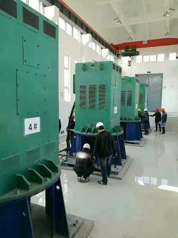 都兰某污水处理厂使用我厂的立式高压电机安装现场安装尺寸
